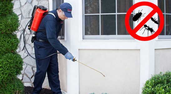 Çandarlı Bit İlaçlama böcek ilaçlama ve haşere kontrolü — ilaclama-tr.com